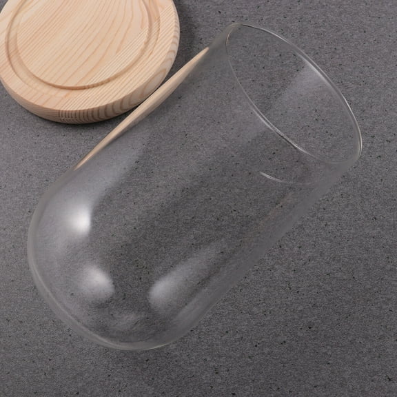 Decorative Glass Cloche Bell Jar with Wooden Base, Terrarium Display Dome for Preserved Flowers, 10 x 16 cm Showcase