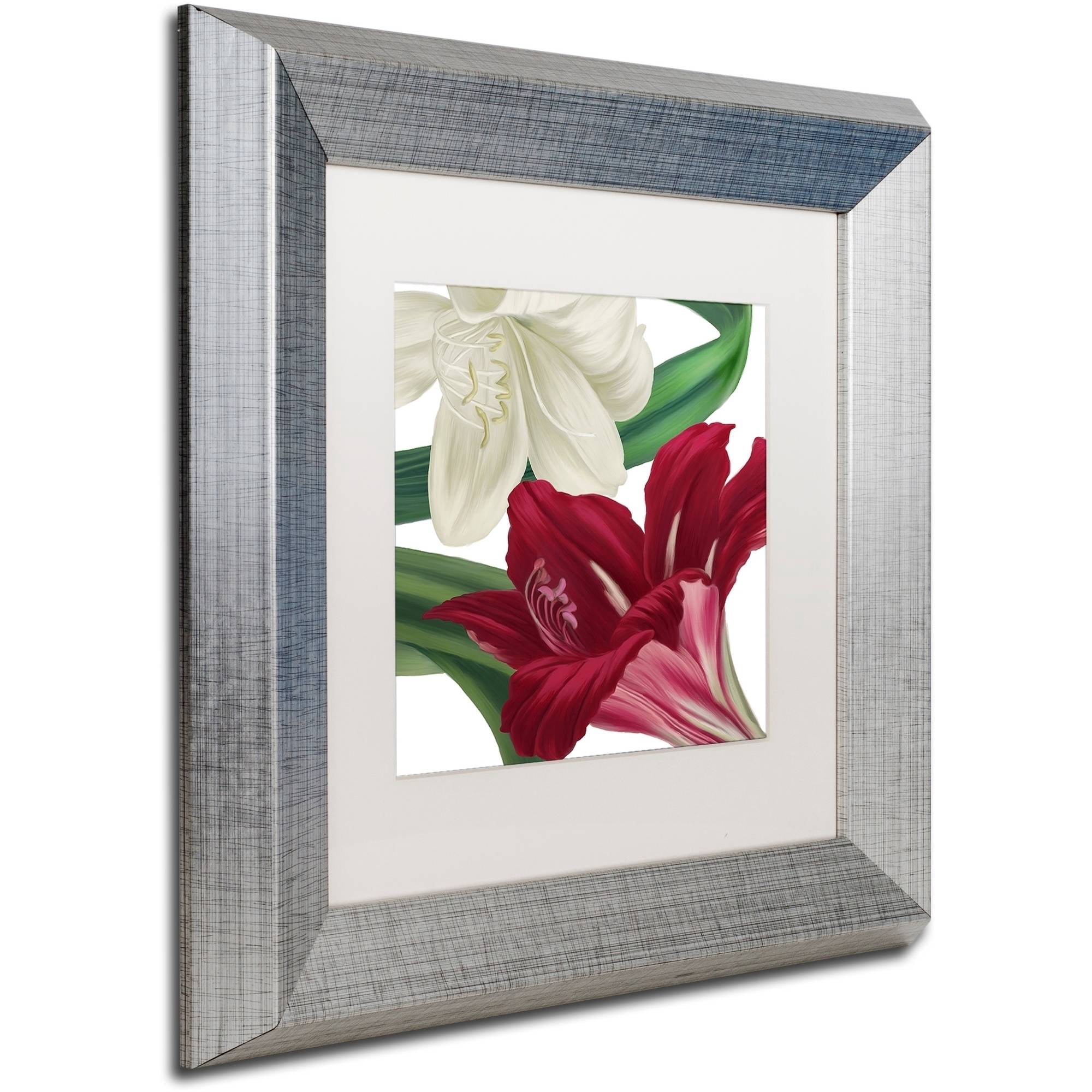Trademark Fine Art "Christmas Amaryllis II" Canvas Art by Color Bakery White Matte, Silver Frame