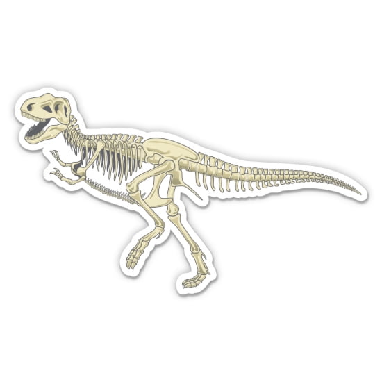 Dinosaur Skeleton - 3" Vinyl Sticker - For Car Laptop Water Bottle Phone - Waterproof Decal
