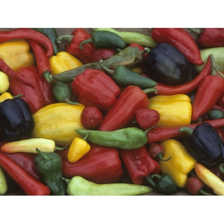 A Variety of Heirloom Sweet Peppers Print Wall Art By David