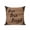 Black Brown, variant on 1 Pack Outdoor Throw Pillow, Vintage Boho Waterproof Pillow with Insert Included, Farmhouse Retro Teal Brown Wooden Grain Decorative Accent Cushion Sofa Pillows for Patio Porch, 16 x 16 In
