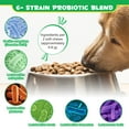 thumbnail image 3 of Petpya Probiotic for Dogs, Dog Digestion Gut Health Probiotic,Pet Naturals Daily,Immune & Digestive Support Chewable Dogs Probiotics, Duck Flavor, 120 Chews Natural Supplement Treat (2pack), 3 of 10