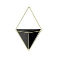 thumbnail image 1 of Umbra Trigg Wall Display,Black/Brass, 1 of 6