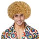 thumbnail image 1 of Peluca de pelo sintético rizado, rubio afro, 30 cm, para hombre, 1 of 1