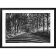 thumbnail image 2 of Art.com Tree Tunnel to Old Koloa Town (B/W), Kauai Hawaii Photographic Print by Vincent James, Black Frame Wall Art, 23" x 17", 2 of 5