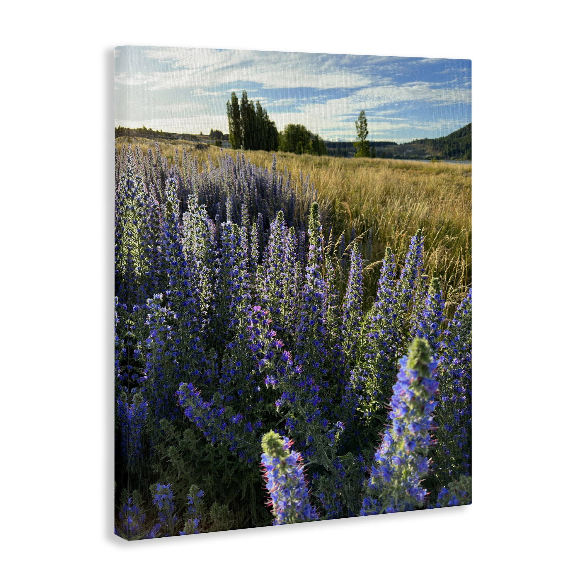 Stupell Industries Lavender Fields Landscape Landscape Photography Gallery Wrapped Canvas Art Print Wall Art, 16 x 20