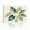 D, variant on XaaKee Canvas Wall Art Prints Variegated Plant Triangular Composition Structured Modern Canvas Prints Wall Art Inner Framed 18*12Inch