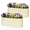 White, variant on SnugNiture Raised Garden Bed 4×2×2 ft Planter Boxes Outdoor for Planting Plants (2pcs)