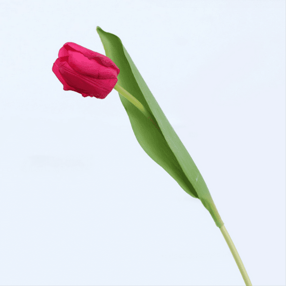 XmhyTop 6pcs Tulips Artificial Flowers, Fake flowers, Flores Artificiales Para, Wedding Decor