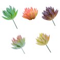 thumbnail image 1 of 5 uds simulación de cabeza de flor suculenta Tianshan nieve loto creativo DIY suministros accesorios plantas verdes artificiales, 1 of 6