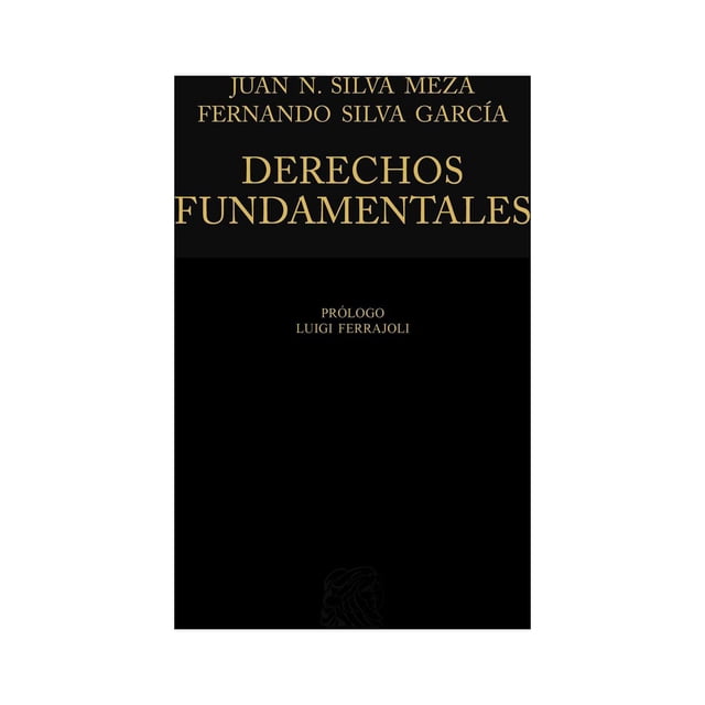 Derechos fundamentales Editorial Porrúa 9786070934094