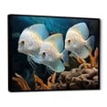 thumbnail image 2 of Designart "Wonderland of White and Blue Butterfly Fish" Animals Framed Wall Art - Modern White Butterfly Fish Entryway Framed Wall Art Print, 2 of 6