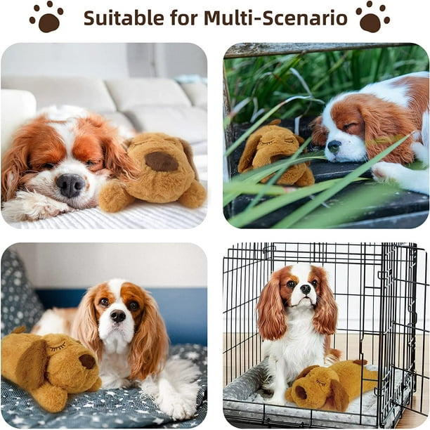 Dog puppy accessories 2025