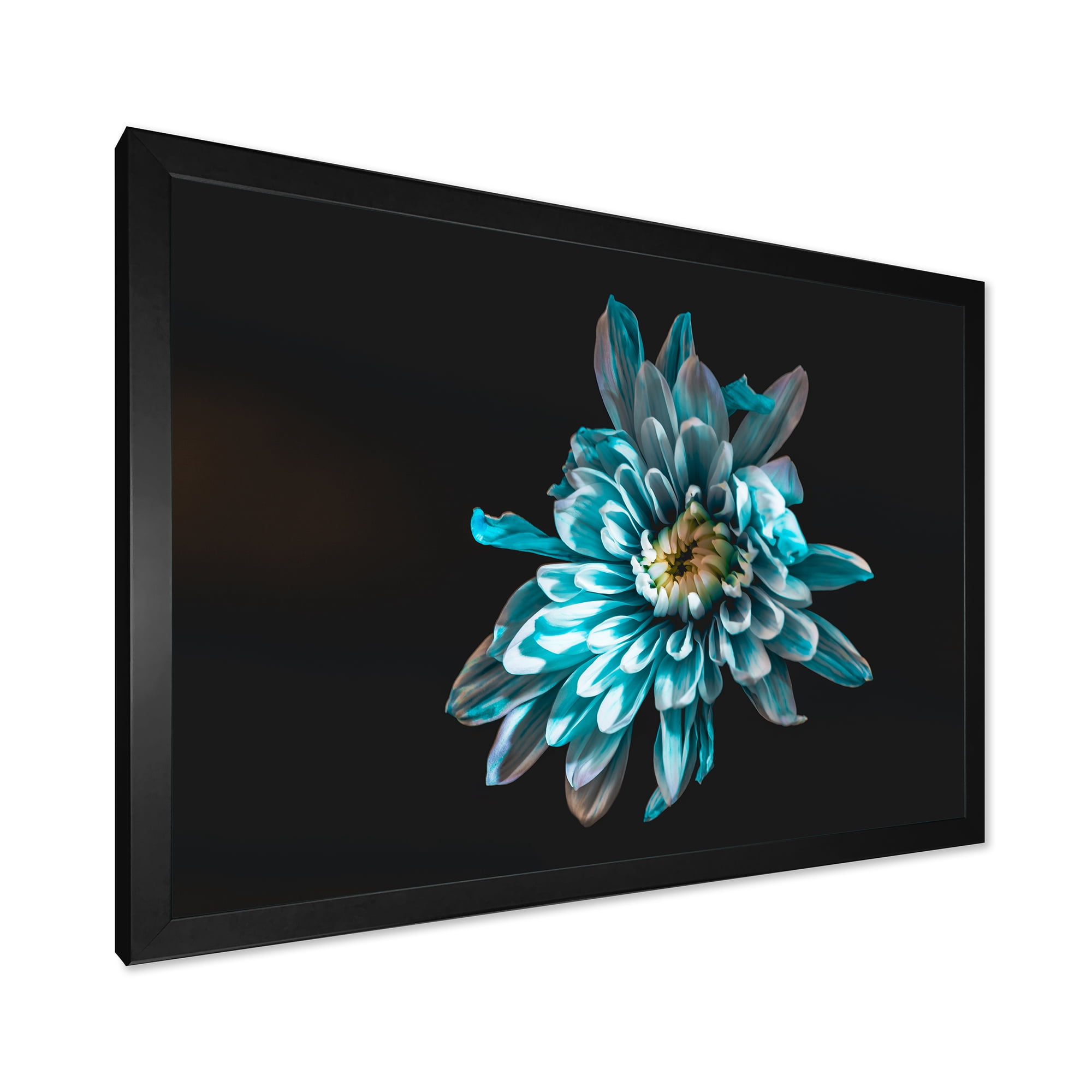 Designart 'Top View of White and Blue Flower' Traditional Framed Art Print