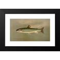 thumbnail image 2 of John L. Petrie 14x10 Black Modern Framed Museum Art Print Titled - The American Brook Trout, Salvelinus Fontinalis. (1898), 2 of 5