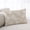 Brown Beige, variant on Rustic Coastal Throw Pillow Covers, Sea Nautical Summer Beach Starfish Coral Soft Breathable Pillow Cases with Invisible Zipper for Sleeping, Small Pillowcases for Couch Bed Sofa Chair 16x24 Inches