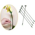 thumbnail image 5 of Climbing Plant Stake Support Orchids - 27cm, with Support Ring, Help Your Flowers Grow, for Garden, Tomatoes, Monstera, Peonies, Peppers, Lily, Rose e, 5 of 5
