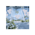 thumbnail image 4 of Abanico Blanco Plástico Recuerdos Boda Adorno 24 Piezas BLANCO, 4 of 4
