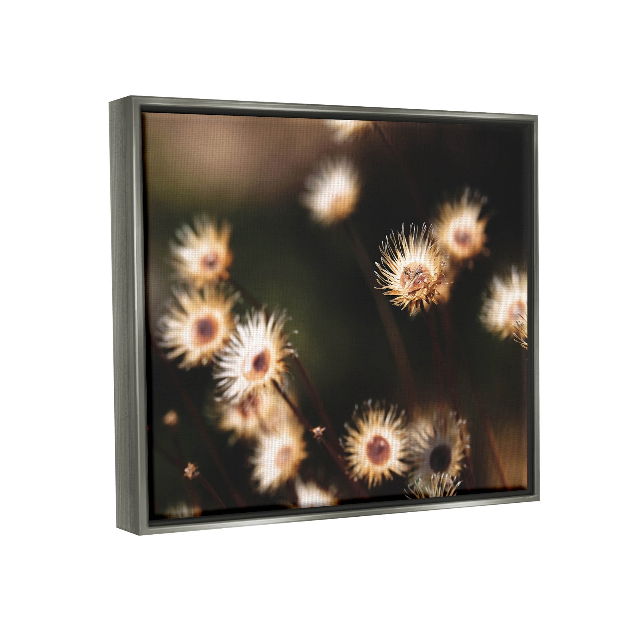 Stupell Industries Close Up Floral Buds Photograph Luster Gray Floating Framed Canvas Print Wall Art, Design by Lil' Rue