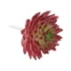thumbnail image 3 of Uxcell Mini Suculentas Artificiales Sin Maceta Picos de Suculentas Falsas Plantas Suculentas Burdeos Verdes 4 Paquete, 3 of 5