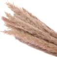 thumbnail image 2 of Vikakiooze 2022 Fall Decorations for Home, Natural Dryness Wedding Bouquet is A Favorite Wedding Color Within The Natural Dried Pampas Grass Decor, 2 of 5