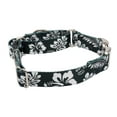 thumbnail image 3 of Country Brook Petz® Black Hawaiian Martingale with Premium Buckle, Extra Small, 3 of 5