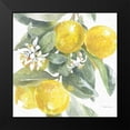 thumbnail image 2 of Grove, Beth 20x20 Black Modern Framed Museum Art Print Titled - Citrus Charm Lemons I, 2 of 5