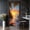 Color 3, variant on Door Stickers Peel and Stick Door Mural Grilled Cajun Spices Roasted Tomatoes Removable Wallpaper 30.3''x78.7'' Self-Adhesive Mural for Kitchen Living Room Bedroom Decor