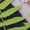 SM-Jungle Green, variant on – Warplane Boxer Briefs – Fighter Jet Camo Military Underwear for Men – Aviation Graphic