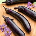 thumbnail image 3 of Bonnie Plants Ichiban Eggplant 19.3 oz. 2-Pack, 3 of 10