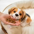 thumbnail image 5 of Nuevo juguete de peluche de perro dálmata, lindo cachorro beagle realista de peluche, muñeco de decoración para el hogar, regalo de cumpleaños para niños de alta calidad, 5 of 5