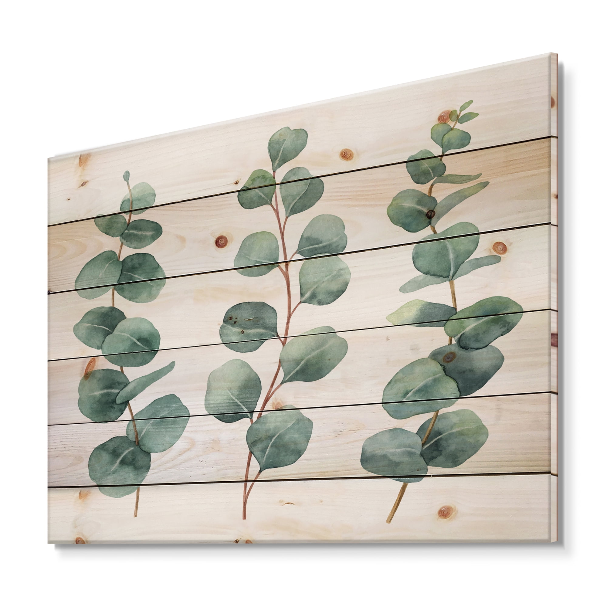Designart 'Young Eucalyptus Branches and Leaves I' Traditional Print on Natural Pine Wood