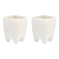thumbnail image 2 of Shisuyan 2Pcs Tooth Shaped Ceramic Succulent Cactus Flower Pot Home Tabletop Decoration, 2 of 9