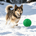 thumbnail image 6 of BESTSKY Tough Dog Chew Toys for Aggressive Chewers,Indestructible Dog Balls for Aggressive Chewers,Squeaky Balls for Dogs,Squeaky Toys for Large Dogs,Heavy Duty Ball, 6 of 6