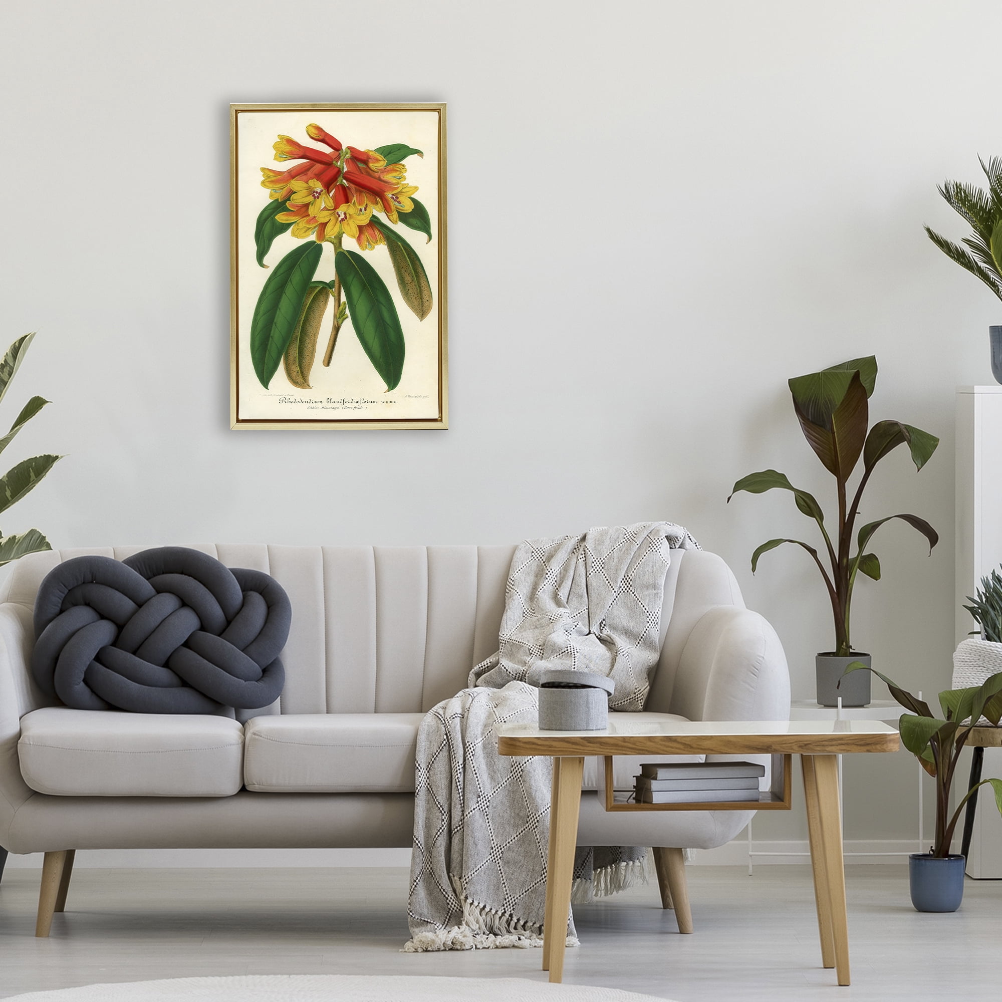 Stupell Industries Orange Yellow Rhododendron Gold Framed Floater Canvas Wall Art, design by Print Collection