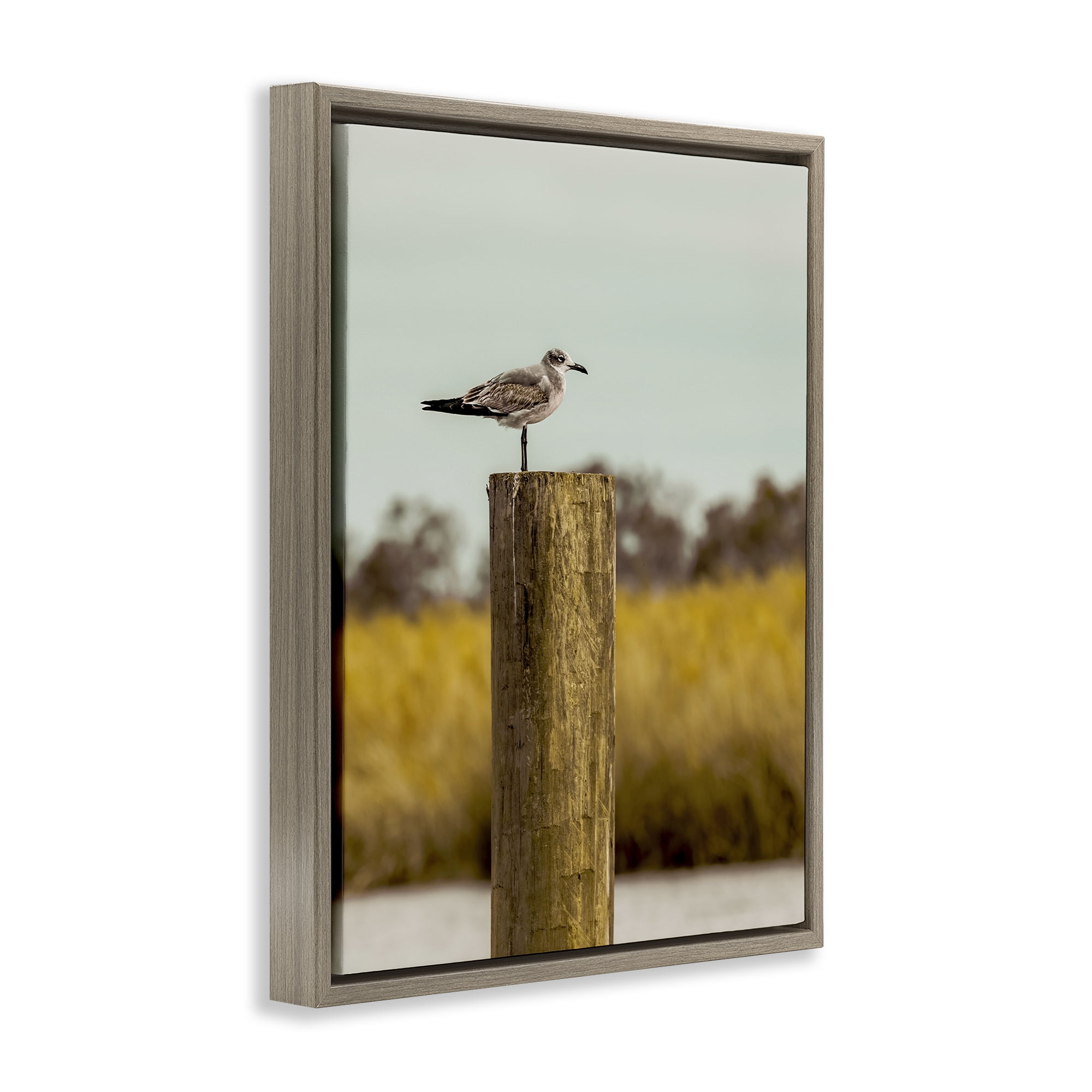 Stupell Industries Gull On Piling Brown Framed Floater Canvas Wall Art, design by Christy Berry