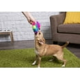 thumbnail image 3 of Go Dog 786195 Furballz Rings, Small - Rainbow, 3 of 8
