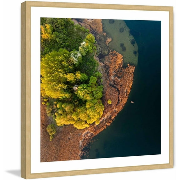 Marmont Hill "Trees from Above" by Karolis Janulis Framed Painting Print