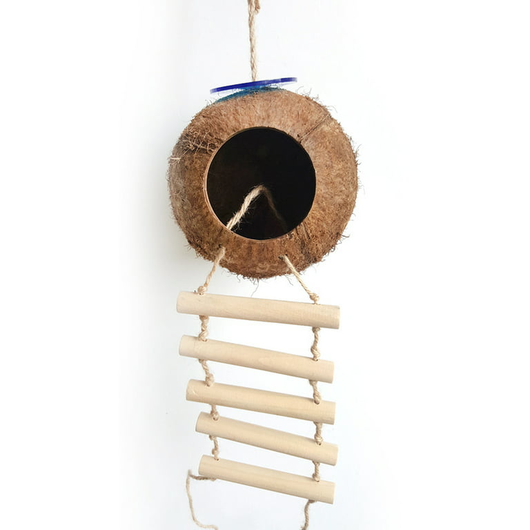 Coconut Shell Hanging Birds Nest » Green Space Holdings