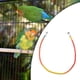 thumbnail image 4 of Jaula para pájaros, cuerda, percha, juguete para pájaros, suministros para mascotas, garras para pájaros con gradiente, flexibles 100 centímetros, 4 of 5