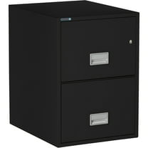 Phoenix Safe Vertical 25 inch 2-Drawer Legal Fireproof File Cabinet with Key Lock, Water Seal, Black, LGL2W25B
