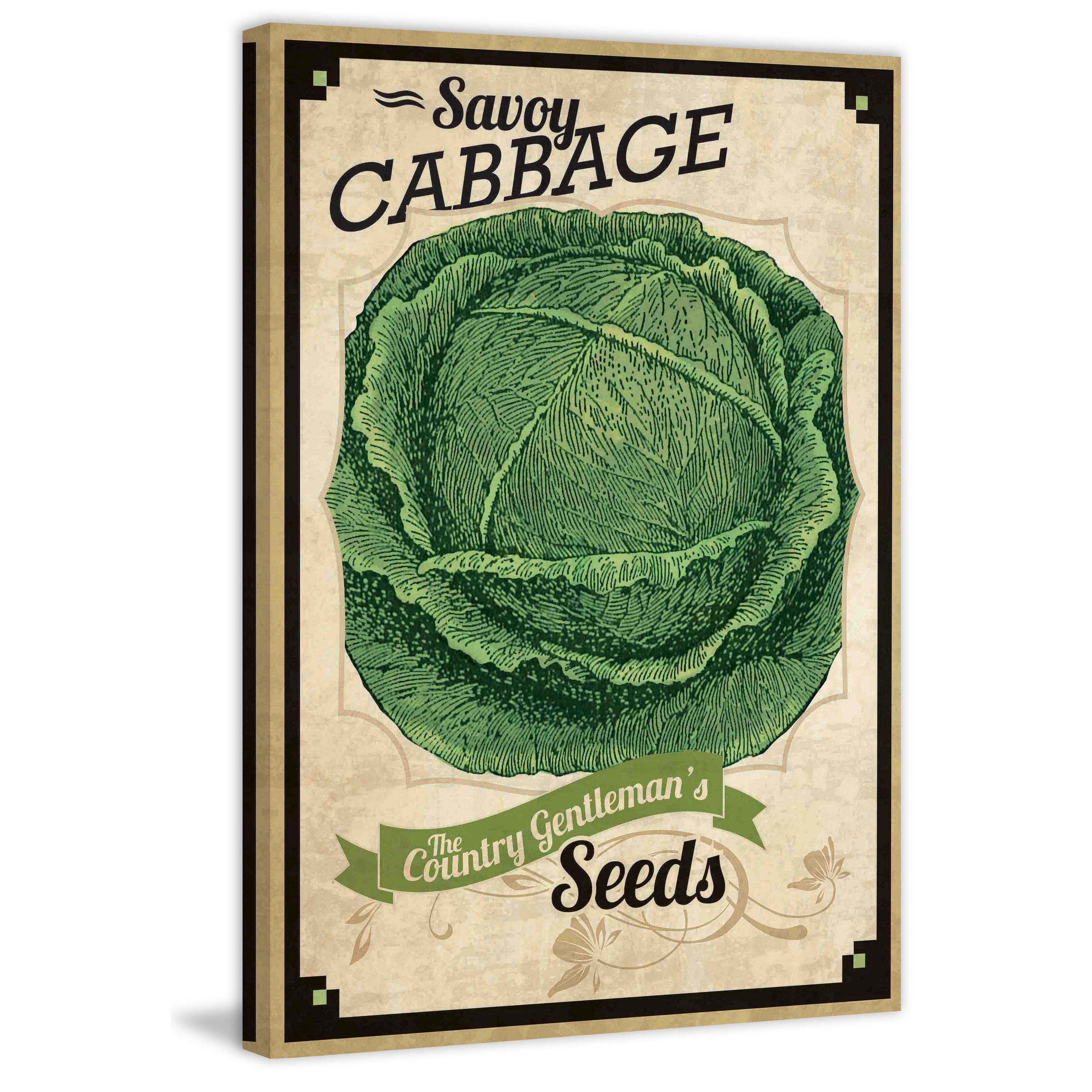 Marmont Hill "Seed Packet Cabbage" Painting Print on Canvas