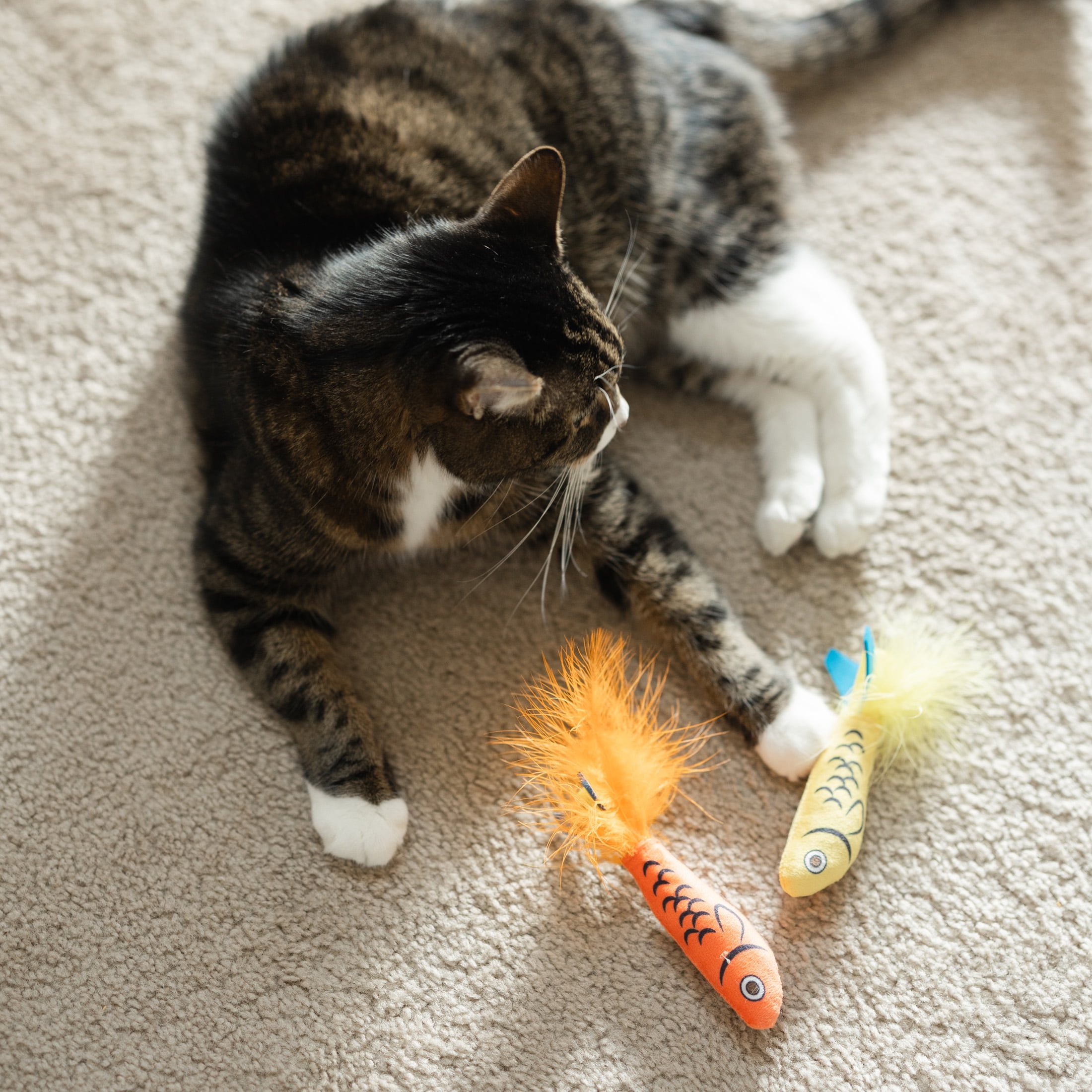 Vibrant Life Sardine Explosion Catnip Interactive Cat Toy Set, 3 Pieces