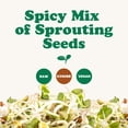 thumbnail image 4 of Spicy Mix of Sprouting Seeds, 1 Pound — Sproutable, Kosher, Raw, Vegan — by Food to Live, 4 of 7
