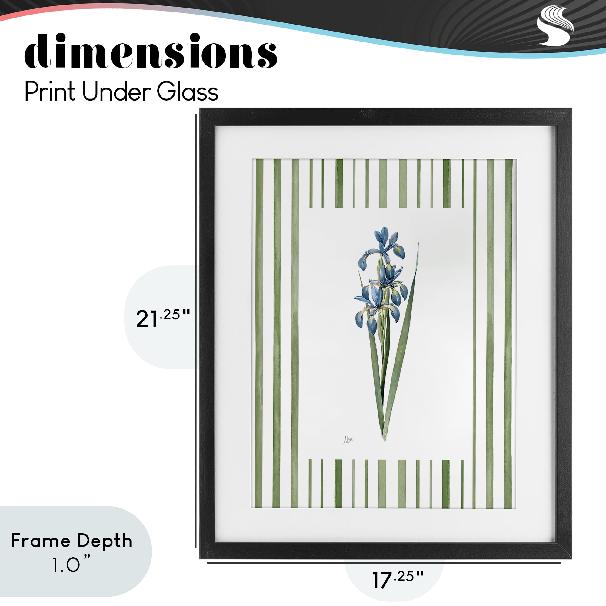 Stupell Industries Spring Irises with Stripes Black Framed Print Under Glass, design by Nan