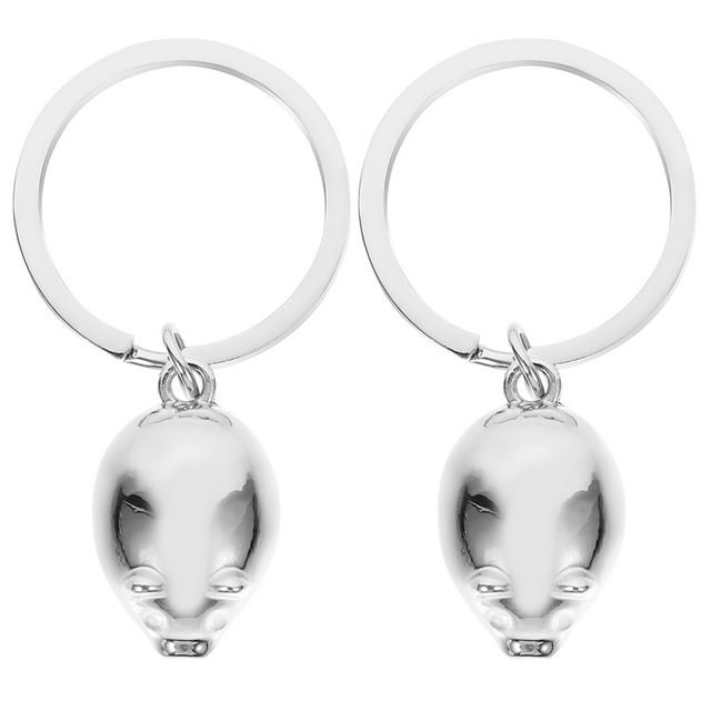 BRIGHTFUFU 2 llaveros para mujer, diseño de cerdo, para coche, bolso, bolso, colgante, adornos de cerdo.