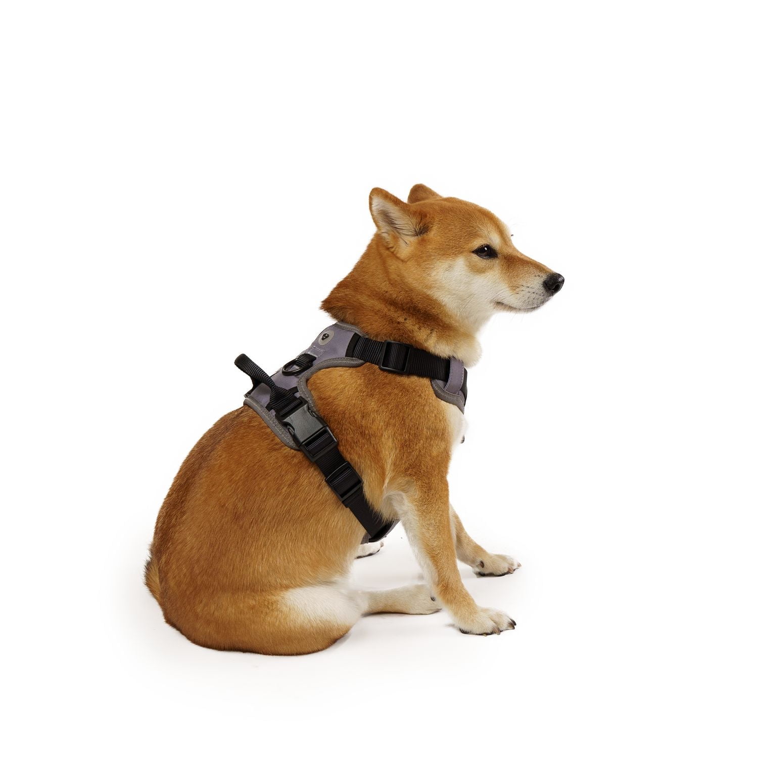 One Paw, Dog Harness with Bonded Mesh and Reflective Stitching, Multiple sizes colour, Paw