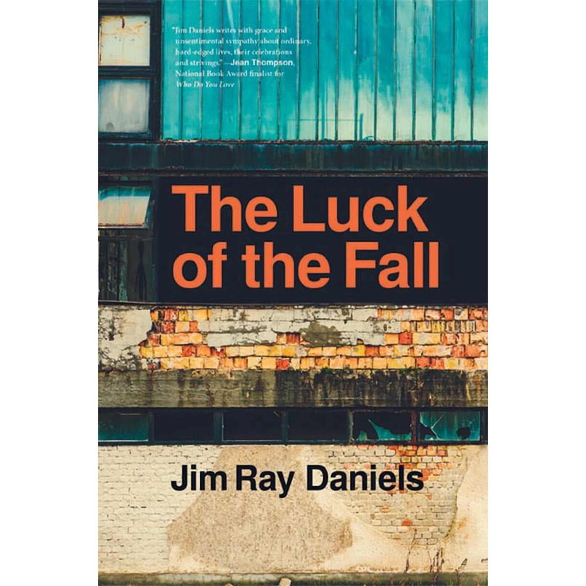 The Luck of the Fall (Paperback)