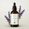 HerbEra Bugleweed Tincture, Organic Herbal Dietary Supplement for Hormonal Balance Support, Certified Organic Bugleweed (Lycopus virginicus) Dried Herb Extract, Natural, Alcohol-Free, Drops 4 oz
