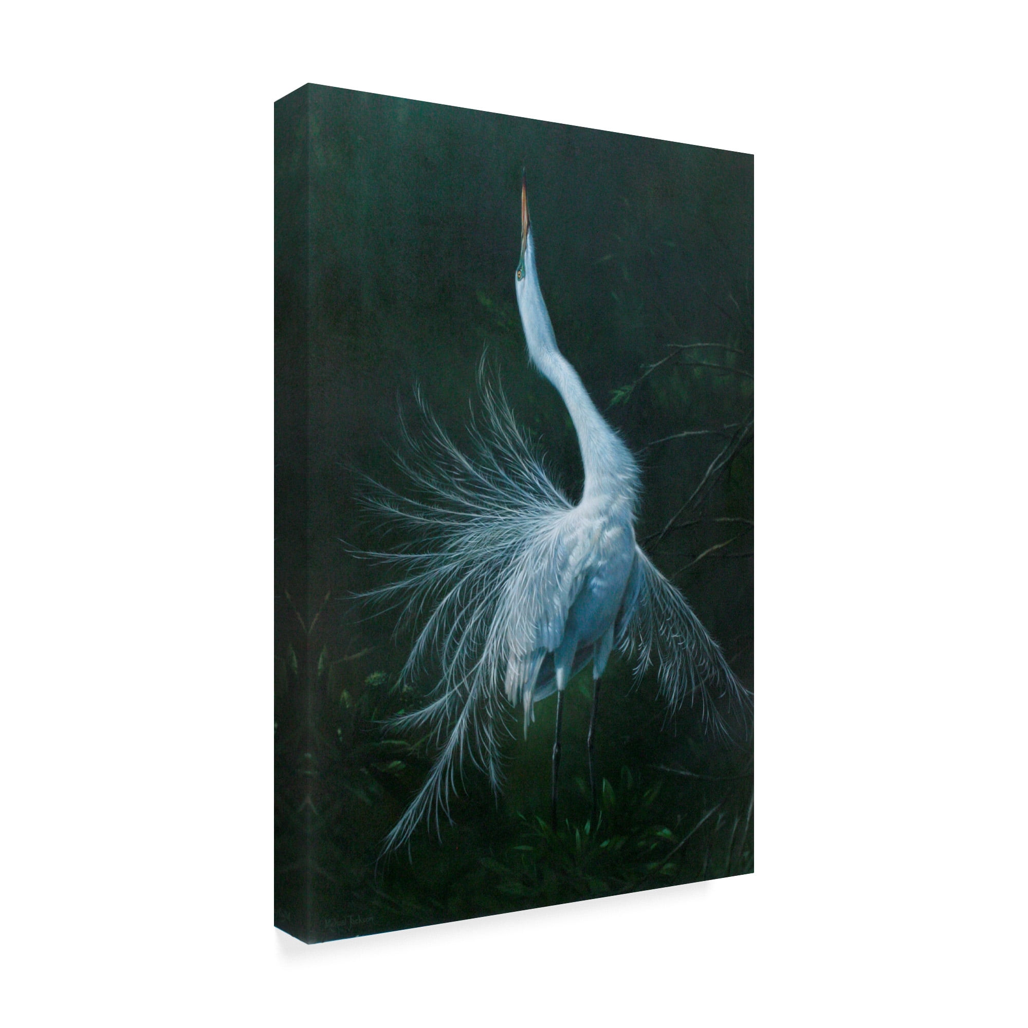 Trademark Fine Art 'Displaying Egret' Canvas Art by Michael Jackson